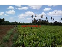 3 Acres 33 gunta farm land for sale at Taraknambi, 12 KMS from Gundlupete