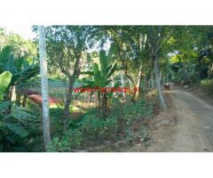 21 cents farm land for sale RKN Road, Panangode, Venganoor