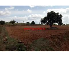 5.20 Acres agriculture land is for sale at Udigala , 12 kms from Gundelpet
