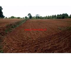 5.20 Acres agriculture land is for sale at Udigala , 12 kms from Gundelpet