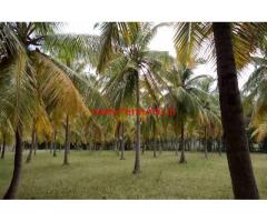 10 Acres coconut farm is for sale , It is 4.5 kms from Nanjangud town