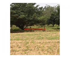 60 Gunte Agriculture Farm Land for sale at Hoskote.