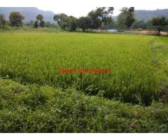 24 gunta agriculture land for sale at Potal