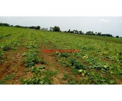 15 Acres Farm land for sale near Amaravathi