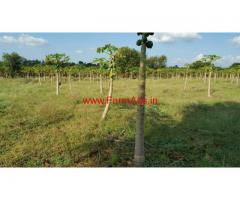 36 acre farm land for sale in near Thondebhavi near Doddaballapura