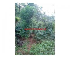 2 acres Farm land for sale at Sulthan Bathery