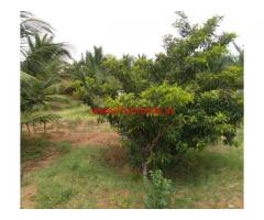5 Acres Coconut farm land wih house for sale in Gudimangalam near Udumalpet
