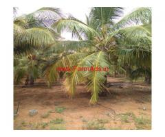 5 Acres Coconut farm land wih house for sale in Gudimangalam near Udumalpet
