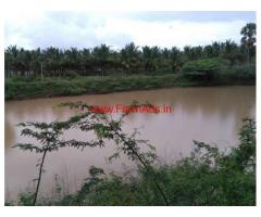 12 Acres Coconut farm land for sale near Palladam