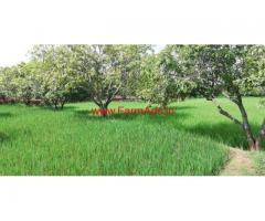 14 acres mango garden for sale at Yarravari Mandal, Chitoor
