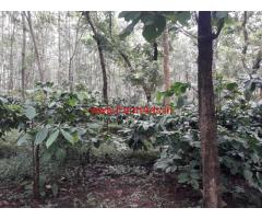 15 acre robusta coffee estate for sale in alur taluk, hassan Dist