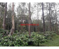 15 acre robusta coffee estate for sale in alur taluk, hassan Dist