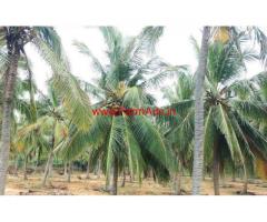 1.75 Acres Coconut farm land for sale near Sothaviali Beach