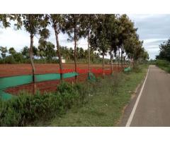 2 Acres 24 gunta farm land for sale Jannur Village near T-Narsipura