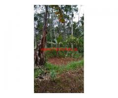 85 cents Farm land with house for sale Meenangadi