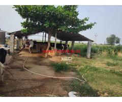 3.5 acres agriculture Land For sale, Near Midjil Road. Kalwakurthy HighWay