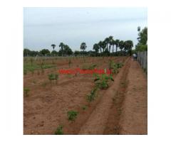 25 Cents Farm land for sale in Melmapattu, Acharapakkam