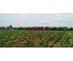 12 Acres Farm land for sale in Purasampatti,22km from Trichy