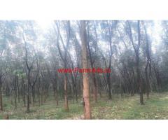 4 Acres Farm land with house for sale in Palakkad