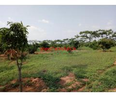 4.15 Acres Farm land for sale at Tayooru, 10 KMS from T-Narsipura Town