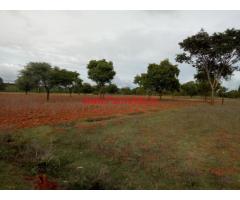 1.18 Acres Farm land for sale at Hallikehundi, 11 KMS from T-Narsipura