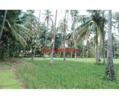 3.03 acre coconut farm land for sale at Channapatna, 2 KMS from Highway