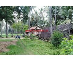 3.03 acre coconut farm land for sale at Channapatna, 2 KMS from Highway