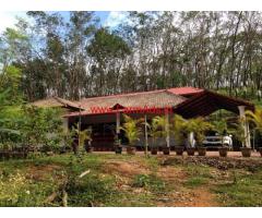8 Acres Farm land with Farm house for sale Elimale,Sullia-Subramanya road