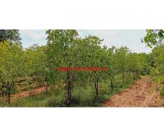 29 acres red soil farm land for sale at Hemadala village, Hiriyur Taluk.