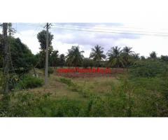 2.16 Acres Coconut Farm Land for saleat Paramenahalli - Hiriyur