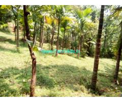 6 Acre Coffee Estate For Sale In Mudigere, Chikmagalur