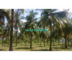 17 Acres Coconut farm land with house for sale near Gobichettipalayam