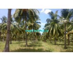 17 Acres Coconut farm land with house for sale near Gobichettipalayam