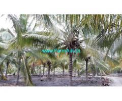 8 Acres Coconut farm land with house for sale near Thirumoorthy Dam