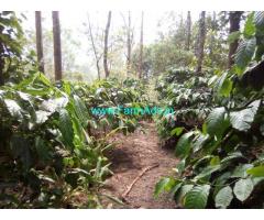 5 Acre Well Maintained Coffee Estate For Sale at Aldur - Balehonnur Road