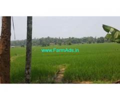 6 Acres Wet Land for sale at Mananthavady