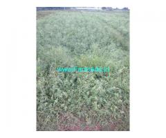 5 Acres agriculture land for sale Peddapuli nagaram,6km from ORR