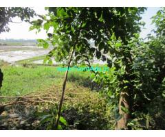 10 Cents Farm land with house for sale at Chennamkary, Kainakary