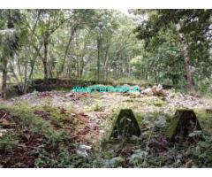 36 Cents Farm Land for sale in Athirappilly