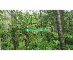 50 cents Farm land with house for sale near Mananthavady