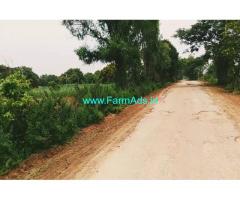 1 acre 20 gunta mango farm land for sale 20 km from channapatna
