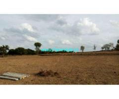 3 Acres Agriculture Land for sale near Shoolagiri, 22 KMS from Hosur