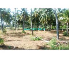 2 Acres Coconut Farm Land for sale at Shooloagiri, 60 KMS from Bangalore