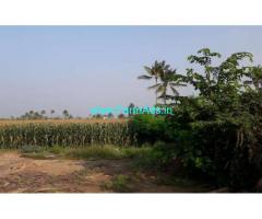 6.5 Acres Agriculture Land for sale in Paithur