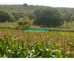 10 Acres Agriculture Land for sale in Channaman, 2km from NH