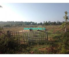 Agriculture land for sale 4 acre at Dabbegatta Hobli Turuvekere Taluk
