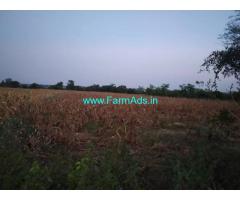 2 acres agriculture Land For Sale, Near Mucharla Pharmacity, Kadthal