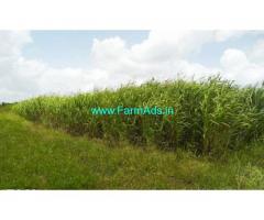 5.31 Acres Farm Land goat farm for sale at Chitkotta, near Humnabad.