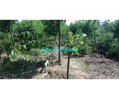 16 Acres Coffee Estate for sale on Coorg-Hassan border