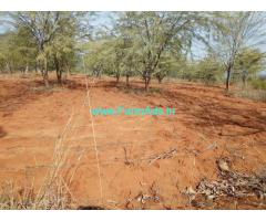 13 Acer agriculture land for sale near Tenkasi. Tirunelveli